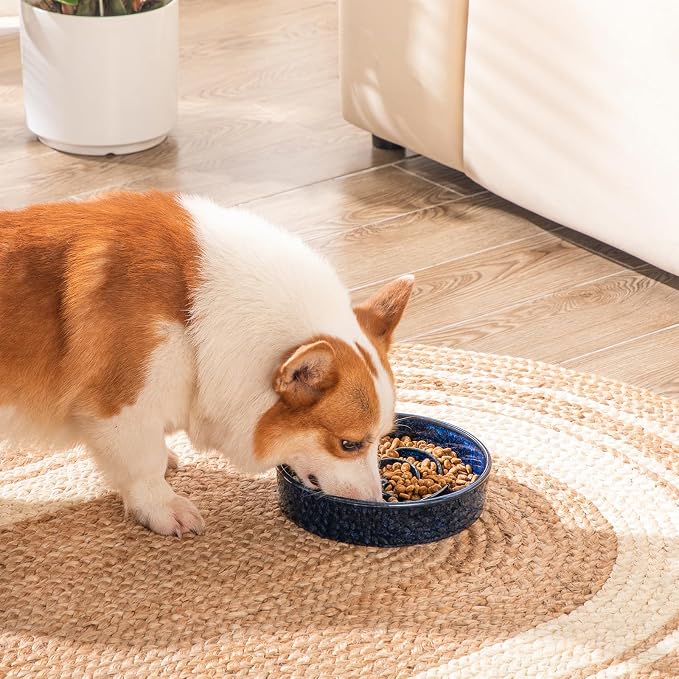 vancasso Slow Feeder Dog Bowl, 1.5 Cup Ceramic Puzzle Dish for Medium Breed | Maze Dog Food Bowl for Fast Eaters, Slow Feeding Design for Medium Dogs, Promotes Healthy Eating Habits, Blue - Image 9