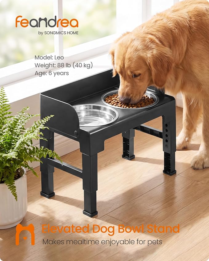 Feandrea Dog Bowls Elevated, Adjustable Height, Tilted Design | Raised Stand, 1 Slow Feeder, Two 304 Stainless Steel Bowls, Ink Black, BOXAL Collection UPRB104B101 - Image 2