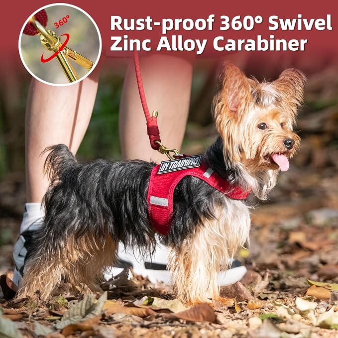 5FT Dog Leash 5/16 inch Puppy Cat Rope Lead | Burgundy Red, with Anti-tangle Swivel Clip, Comfortable Non-slip Grip Handle, Ideal for Daily Walks, for Small Medium Dogs - Image 6