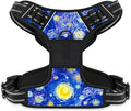 Rnivvi No Pull Dog Harness, Cute Reflective Extra Small Sized Puppy Harness, Adjustable Soft Padded Vest for Small Dogs, Cats, Heavy Duty Pet Vest with Easy Control Handle for Walking, Starry Night by Rnivvi