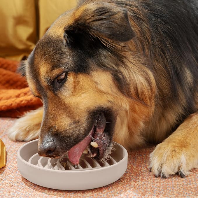 Should We Go? Slow Feeder Dog Bowls - Medium Size Silicone Slow Eating Dog Bowl for Puppies & Dogs with Suction Cup -Dishwasher-Safe, Lick Mat Design, Reduces Gulping,for All Breeds,7.5”x1.5”- Sand - Image 2