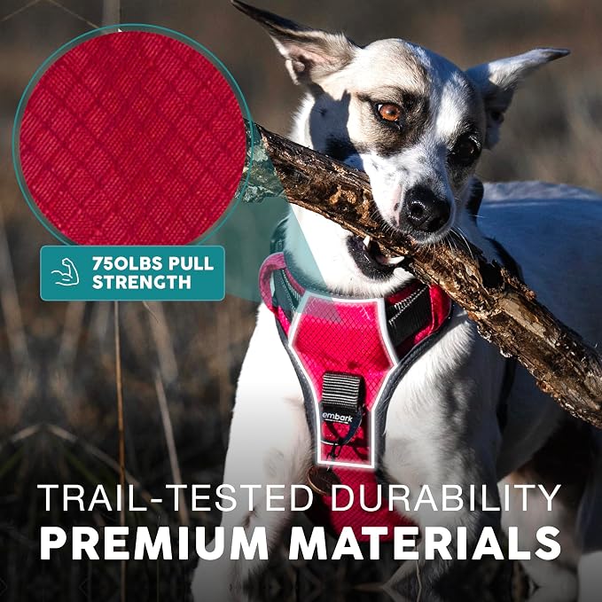 Embark No Pull Dog Harness, Reflective Adjustable Training Vest, No Choke | Adjustable straps fit all dog breeds with sturdy hooks; 360° reflective trim, soft padded Harness Design for All Dogs - Image 6