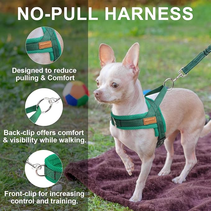 BEAUTYZOO Dog Harness for Large Dogs,No Pull Step in Pet Vest and Leash Set | Breathable Mesh with Handle, Reflective, Adjustable No Choke Escape Proof, Lightweight, Easy Control for Walking, Green L - Image 4