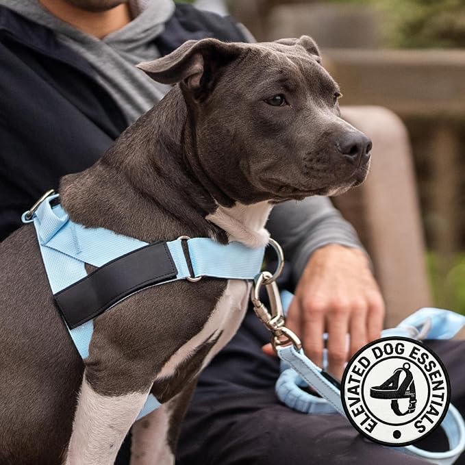 Dog Friendly Co. Dog Harness for Small Dogs (Sky Blue, Small) | One Click Buckle, Chafe Resistant Webbing, Adjustable Neck & Chest, and Heavy Duty D-Ring, Sturdy Comfortable and Easy to Use - Image 5