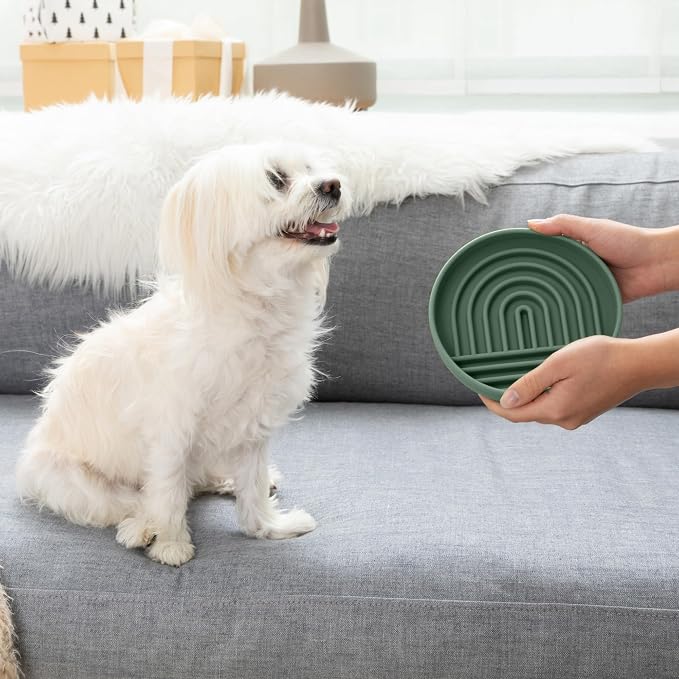 Should We Go? Slow Feeder Dog Bowls - Small Size Silicone Slow Eating Dog Bowl for Puppies & Dogs with Suction Cup -Dishwasher-Safe, Lick Mat Design, Reduces Gulping, for All Breeds, 6”x1.25”- Spruce - Image 4