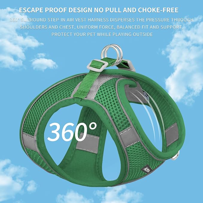 AIITLE Small Dog Harness and Leash Set, Step-in Puppy Pet Vest, Green XS | Light, Soft, Breathable Air Mesh, Escape-Proof, Easy on and Remove with Hook & Loop, Secure Reflective for Walking - Image 10