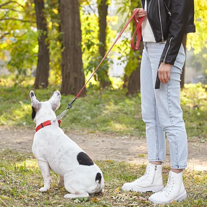 Dogline Biothane Waterproof Dog Leash Strong Coated Nylon Webbing with Black Hardware Odor-Proof Easy to Clean High Performance for Small or Large Dogs Made in USA 4 or 6 ft Lead, Cherry Red - Image 7