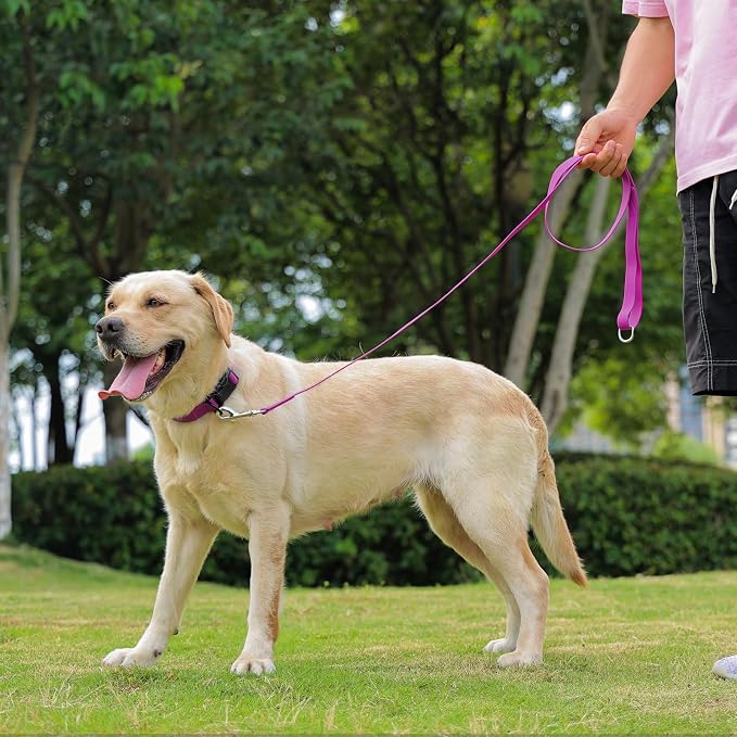 Waterproof Dog Leash, 5/6 FT Durable Odor-Proof Dog Leashes with Strong Metal Hooks Fits Small Medium or Large Dogs (Purple, 6FT - 1 inch Width) - Image 6