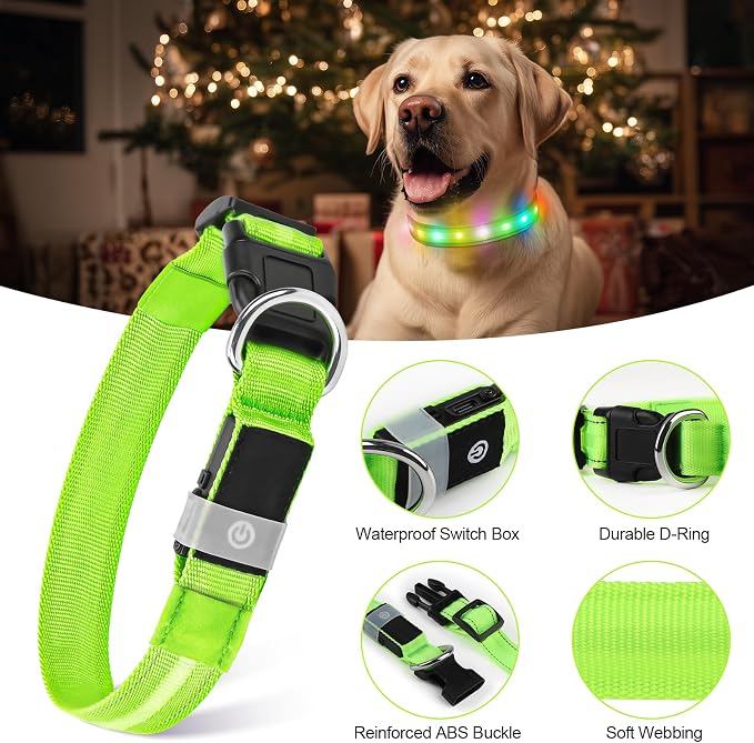 LED Dog Collar, RGB Light Up Dog Collar USB Rechargeable 6 Modes | Waterproof Light Up Dog Collar with Soft Nylon Comfort, Adjustable Fit for Small Medium Large Dogs Neon Green M - Image 4