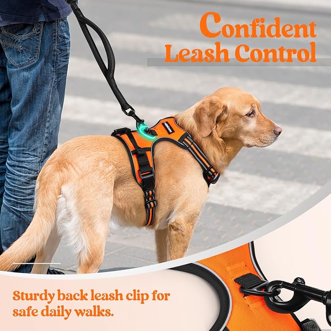 rabbitgoo Dog Harness, No Pull for Small Dogs with 2 Leash Clips, Pet Vest | No Choke with Handle, Adjustable Soft Padded, Reflective, Easy Control for Walking, Orange, Small - Image 6