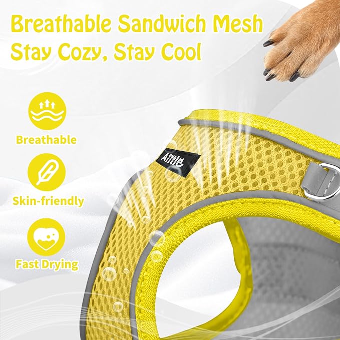 AIITLE Small Dog Harness and Leash Set, Step-in Puppy Pet Vest, Yellow XXXS | Light, Soft, Breathable Air Mesh, Escape-Proof, Easy on and Remove with Hook & Loop, Secure Reflective for Walking - Image 6