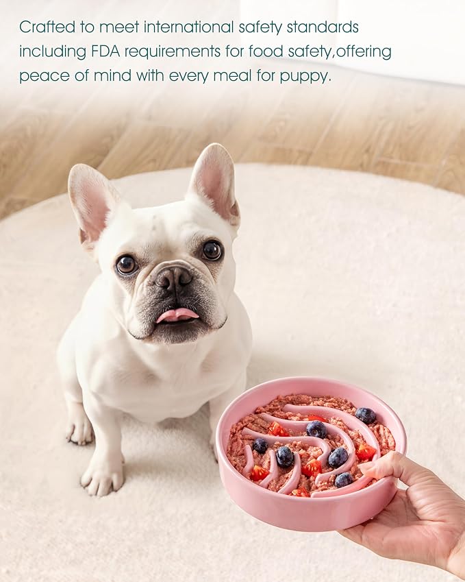 vancasso Slow Feeder Dog Bowl, 0.6 Cup Ceramic Slow Feeding Food Dish for Small Breed, Puzzle Dog Food Bowl for Fast Eater, Pink - Image 6
