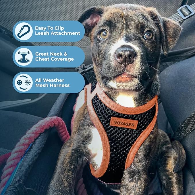 Voyager Step-in Air Dog Vest Harness - Black/Orange Trim, Medium | 16 - 18" in Chest, Reflective Bands, All Weather Breathable Air Mesh, Cats Compatible, Lightweight, Fast Drying - Image 3