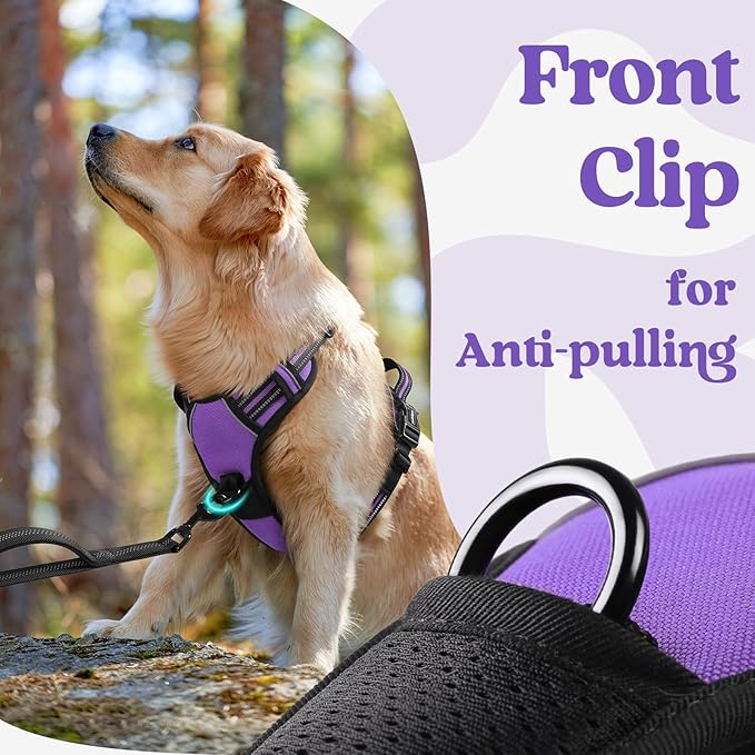rabbitgoo Dog Harness Small Sized, Updated Easy On & Off with 3 Buckles | No Pull No Choke, Walking with 2 Clips and Handle, Adjustable Soft Reflective, Purple, Small - Image 7