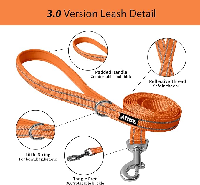 AIITLE Medium Dog Harness and Leash Set, Step-in Puppy Pet Vest, Orange XL | Breathable Mesh, Adjustable Fit, Reflective Design, Padded Leash Handle, for Small-Medium Dogs & Cats, Walking, Training - Image 2