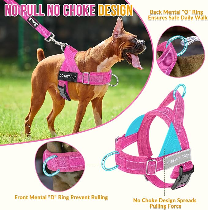 SlowTon No Pull Dog Harness with Front Clip - Heavy Duty, Soft Padded | Neck & Chest Adjustable, Tactical Pet Vest and Leash Set for Large Medium Sized Dogs, for Easy Walk & Training, Fuchsia L - Image 2