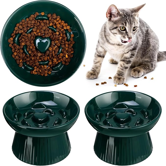 Tioncy 1 Pcs Ceramic Elevated Slow Feeder Cat Bowl, Raised Cat Slow Feeder Bowl, Anti Vomiting for Dry and Wet Food, No Spill High Edge Easy Clean Dishwasher Safe (Dark Green) by Tioncy