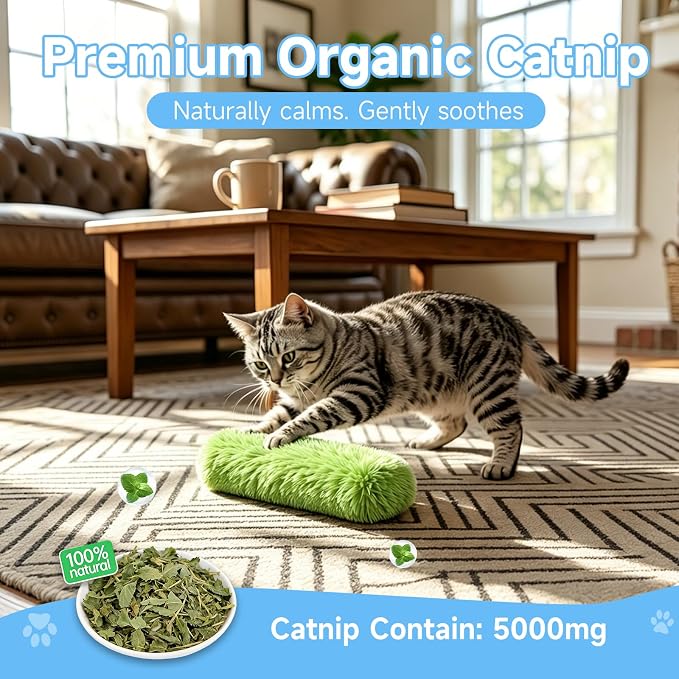 WOUSEDO Cat Toys Pillows 3 Pack, Interactive Kicker Toy with Catnip | Soft and Durable Plush Toys with Crinkle Sound, Promotes Cat Exercise, Companion for Indoor kitten Toy - Image 4