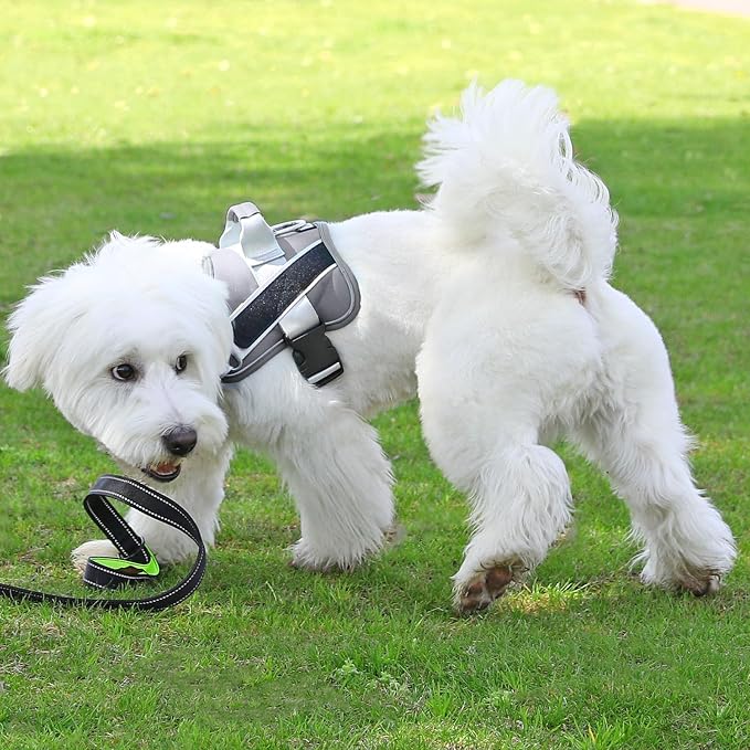 Dog Harness, No-Pull Reflective Dog Vest, Breathable Adjustable Pet Harness with Handle for Outdoor Walking - No More Pulling, Tugging or Choking - Image 6