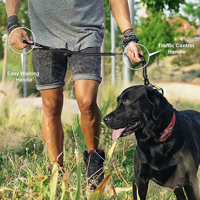 Raipult Tactical Shock Absorbing Bungee Dog Leash Heavy Duty, 4-6ft, Black | for Large Dogs That Pull, Quick-Release Frog Clip, Dual Handles for Close Control, Car Seat Belt Clip, Reflective at Night - Image 7