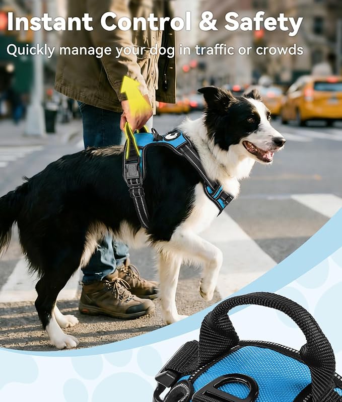 Joytale No Pull Dog Harness for Small Dogs, Front Clip, Sky Blue | Grab Handle for Instant Control, Padded & Adjustable Vest, Sturdy Metal D-Rings, for Safe Training & Daily Walking - Image 3