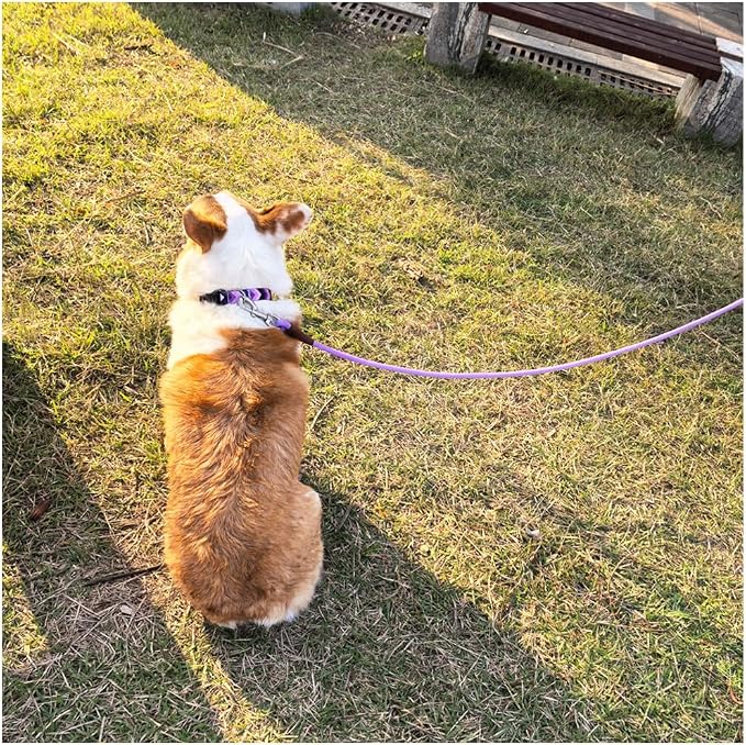 MayPaw 6/8 /10 FT Dog Leash, Classic Solid Colors, Strong Nylon Rope Dog Leash Reinforced with Leather Tailor Connection Heavy Duty Silver Clasp (Purple, 10ft*1/2") - Image 5
