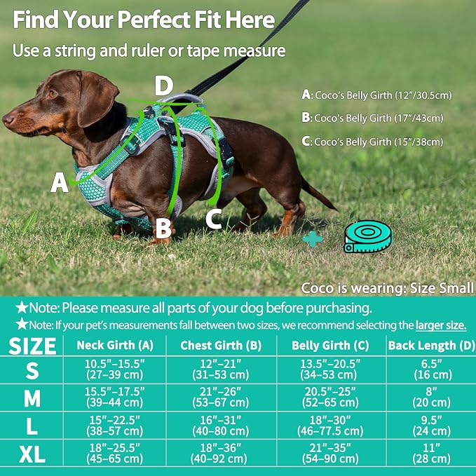 Escape Proof Dog Harness, Dachshund Harness, Reflective Dog Harness with Handle, Durable,Adjustable Vest for Small Medium Large Dogs Walking, Training, and Running Gear (Mint Green,XL) - Image 6