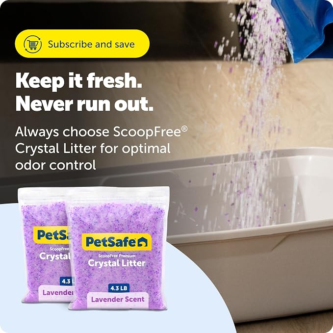 PetSafe ScoopFree Premium Crystal Litter, Lavender Scent, 4.3Lb Bag, 2 Pack | Ultra-Absorbent Crystal Cat Litter, 5x Faster Odor Control, 99% Dust-Free, Low Tracking, Refills Any Cat Box or Tray - Image 9