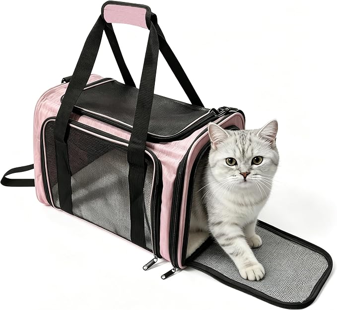 Dog Carrier for Pets, Up to 25 Lbs, Collapsible Travel Carriers for Puppy with Shoulder Strap and Removable Mat, 20x13x13 Inch, Pink by ExploreFreelyLoveSecurely