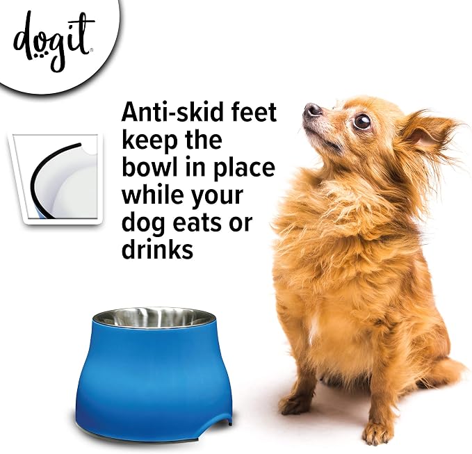Dogit Elevated Dog Bowl, Stainless Steel Dog Food and Water Bowl for Small Dogs, Blue, 73743 - Image 2