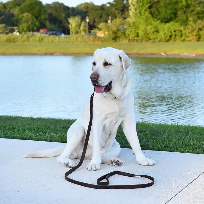 Dogline Biothane Waterproof Dog Leash Strong Coated Nylon Webbing with Black Hardware Odor-Proof Easy to Clean High Performance for Small or Large Dogs Made in USA 4 or 6 ft Lead, Black - Image 5