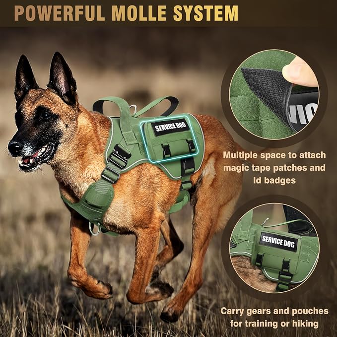 Tactical Dog Harness for Medium Dog, Heavy Duty Service Working MOLLE Vest with 10 Pet Patches, 2X Metal Buckle Vest for Training Hunting Walking - Image 8