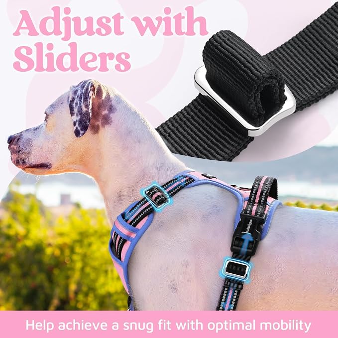 rabbitgoo Dog Harness for Large, No Pull 3 Buckles Easy On & Off | Soft Padded, Walking with Control Handle, Adjustable and Reflective, Light Pink & Blue, Large - Image 5