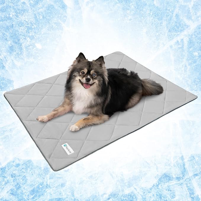 PetAmi Premium Cooling Dog Blanket | Lightweight Fluffy Pet Throw Blanket Bed Cover for Dogs, Cat, Puppies | Pet Blanket Furniture Protector Couch Sofa | Reversible Fuzzy Cozy | 24x32, Light Grey by PetAmi