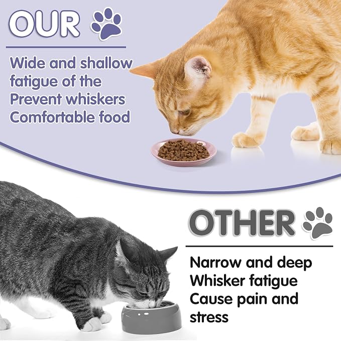 6 Pack Cat Food Bowl, Ceramic Cat Bowls, Anti Whisker Fatigue Cats Bowl Set | 5.5 Inches Shallow Wide Kitten Plates for Food and Water (CaiSe-A) - Image 6