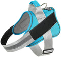 Dog Harness, No-Pull Reflective Dog Vest, Breathable Adjustable Pet Harness with Handle for Outdoor Walking - No More Pulling, Tugging or Choking (OceanicBlue, Medium (Pack of 1)) by Bolux