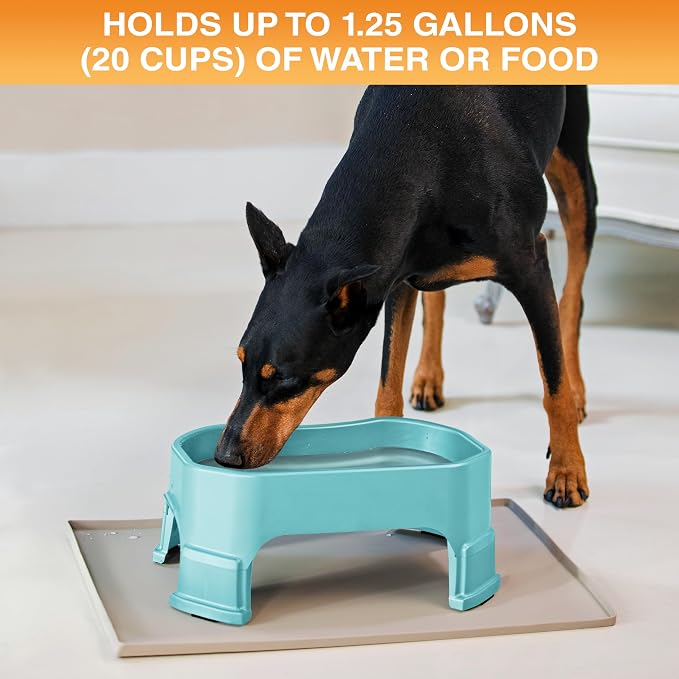 Neater Pet Brands Extra Large Water Bowl for Dogs, Elevated Outdoor Dog Water Bowl (1.25 Gallon XL Capacity), Big Trough Style Food Dish for Indoors or Outside, No Spill Large Dog Bowls, Aquamarine - Image 2