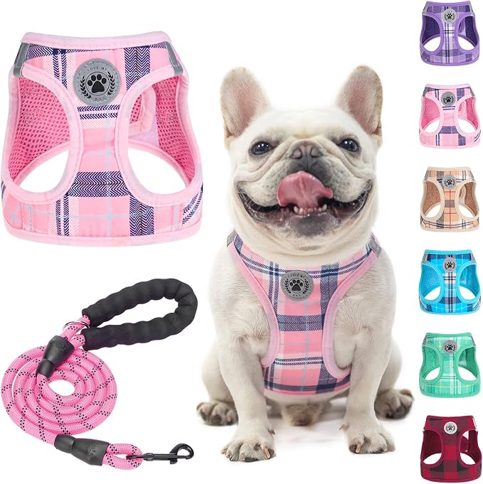 BEAUTYZOO Large Dog Harness and Leash Set,No Pull Puppy Pet Vest - Pink, L | Step-in Easy On/Off, All Season Breathable Mesh,Escape-Proof Hook & Loop,Lightweight Reflective,No Choke,Easy Walking Control by BEAUTYZOO
