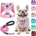 BEAUTYZOO Large Dog Harness and Leash Set,No Pull Puppy Pet Vest - Pink, L | Step-in Easy On/Off, All Season Breathable Mesh,Escape-Proof Hook & Loop,Lightweight Reflective,No Choke,Easy Walking Control by BEAUTYZOO