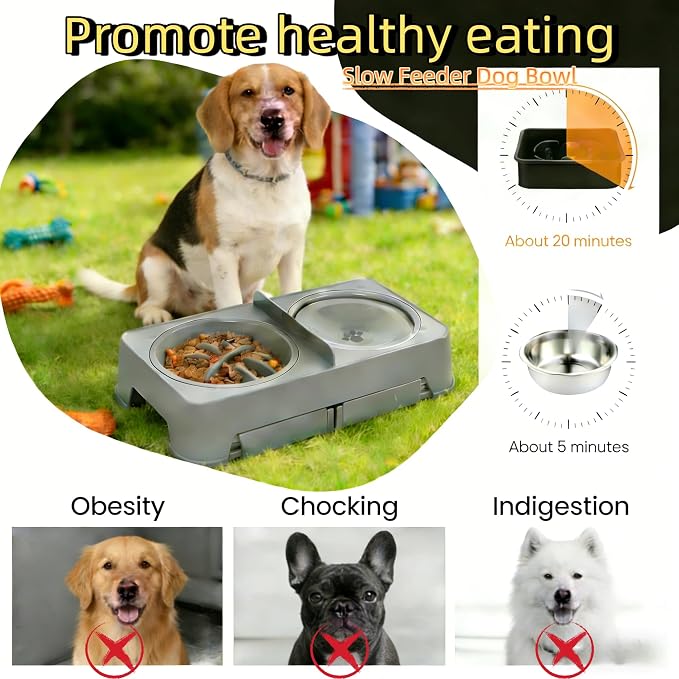3-in-1 Elevated Slow Feeder and Water Bowls for Dogs, 4 Height Adjustable Raised, Separate Dry and Wet Areas, Prevent Water Overflow, Foldable Pet Bowl - Image 5