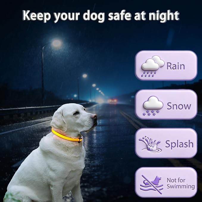 USB Rechargeable LED Dog Collar, Waterproof, Adjustable, Glowing, for Medium Dogs, Night Walking, Camping, Jogging, Yellow, M (Neck 15-24", Width 1") - Image 3