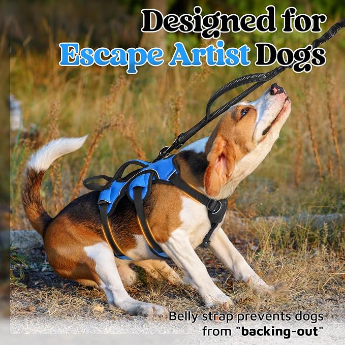 rabbitgoo Escape Proof Dog Harness for Small, No Pull with Lift Handle | No Escape, Full Soft Padded, Reflective Adjustable Vest, Leash Clip for Walking Hiking Training, Blue, Small - Image 2