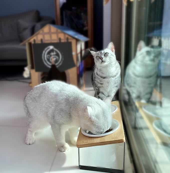 Sunhoo Ceramic Elevated Cat Bowls Raised Puppy Dishes for Food and Water Tilted Wooden Stand for Indoor Cats 5.5 inch Wide Double Dish Orthopedic Reduces Vomiting (Wood Color) - Image 5