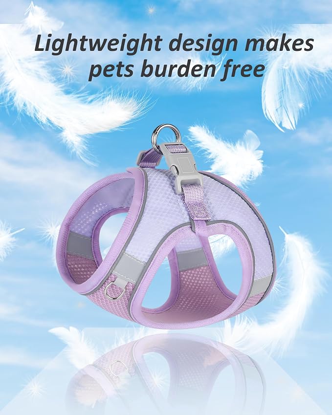 Solmoony Dog Harness for Small Medium Dogs No Pull, Puppy Harness and Leash Set, Puppy Harness for Small Dogs, Step in Harness for Small Dogs, Small Dog Harness, mesh Dog Harness. (Purple, XXS) - Image 3