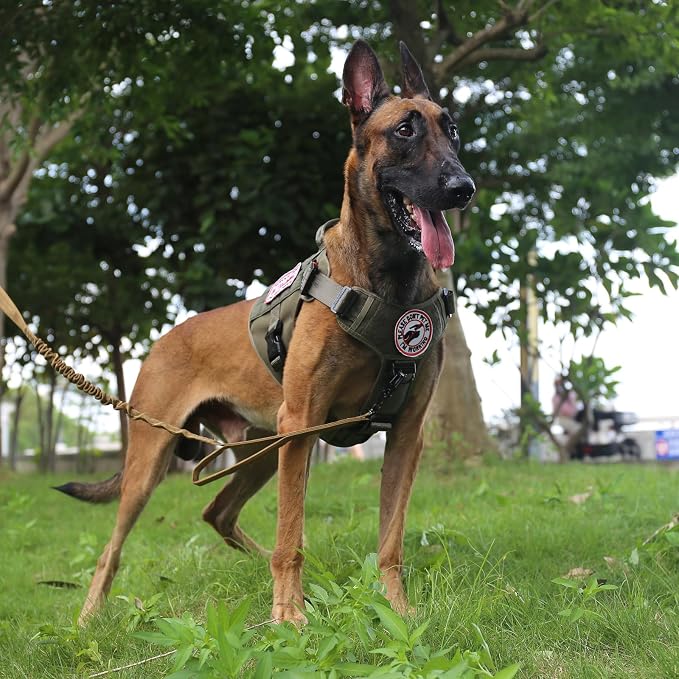 ICEFANG Tactical Dog Harness for Large Dogs,Reflective No Pull Dog Vest | with Control Handle,Adjustable,Front Hook,2 Leash Clips,Soft Padded,MOLLE Panel,Green,Large - Image 4