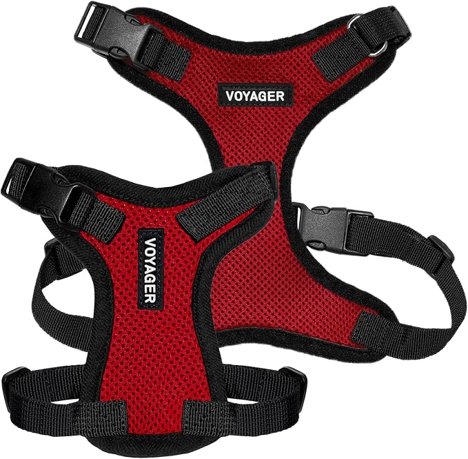 Voyager Step-in Lock Dog Harness - Red/Black Trim, X-Large | 23 - 28" in Chest, Adjustable, Breathable Air Mesh, Lightweight for Daily Walks, Strong Clips, Heavy Duty D-Ring - Image 6