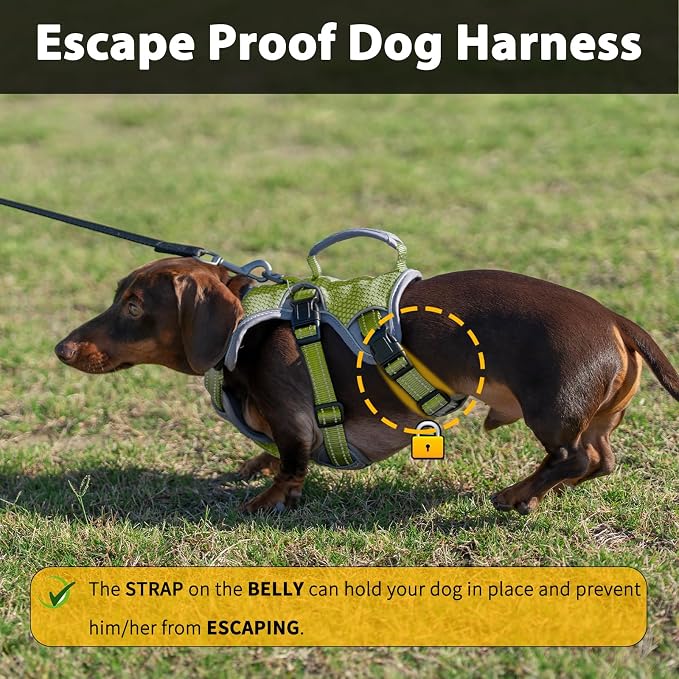 Escape Proof Dog Harness, Dachshund Harness, Reflective Dog Harness with Handle, Durable,Adjustable Vest for Small Medium Large Dogs Walking, Training, and Running Gear (Green,S) - Image 2