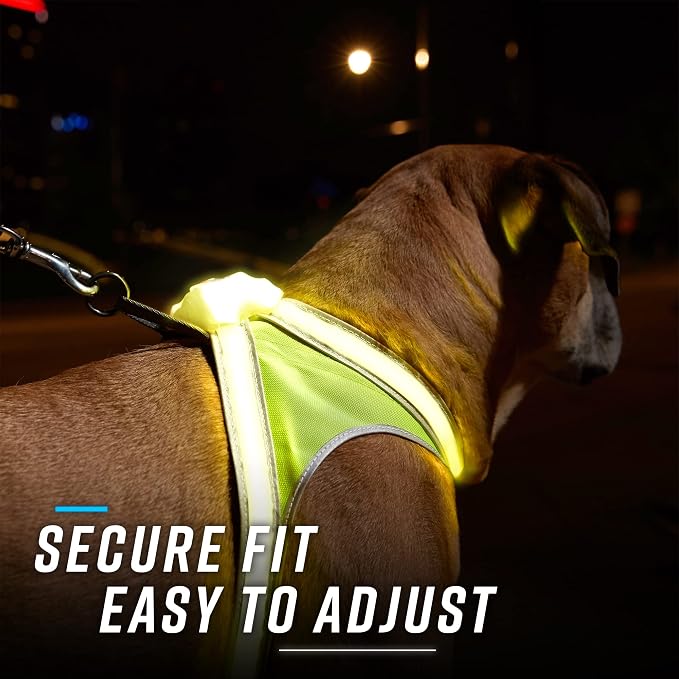noxgear LightHound Light Up Reflective Dog Harness, Small | 360° Light Up Reflective Dog Harness, 8 Colors & 6 Modes, USB Rechargeable, Adjustable, Rainproof, LED Fiber Optic - Image 6