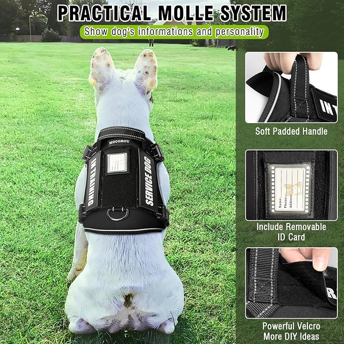 Tactical Dog Harness and Leash Set Medium Sized Dog+10 Dog Patches | Adjustable No Pull Service Animal Dog Vest with Dog Seat Belt,Padded Handles,Reflective Easy Walk for Training Hiking Black M - Image 3