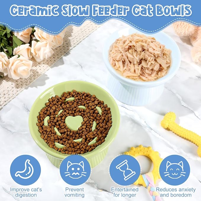 Tioncy 2 Pcs Ceramic Elevated Slow Feeder Cat Bowl, Raised Cat Slow Feeder Bowl, Anti Vomiting for Dry and Wet Food, No Spill High Edge Easy Clean Dishwasher Safe (Green,Blue) - Image 4